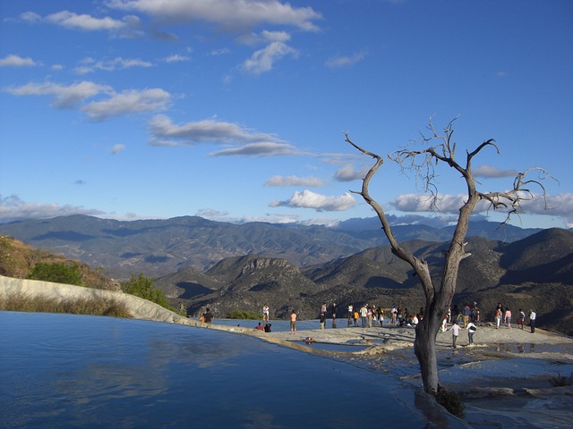 **Vuelos** Monterrey Oaxaca
